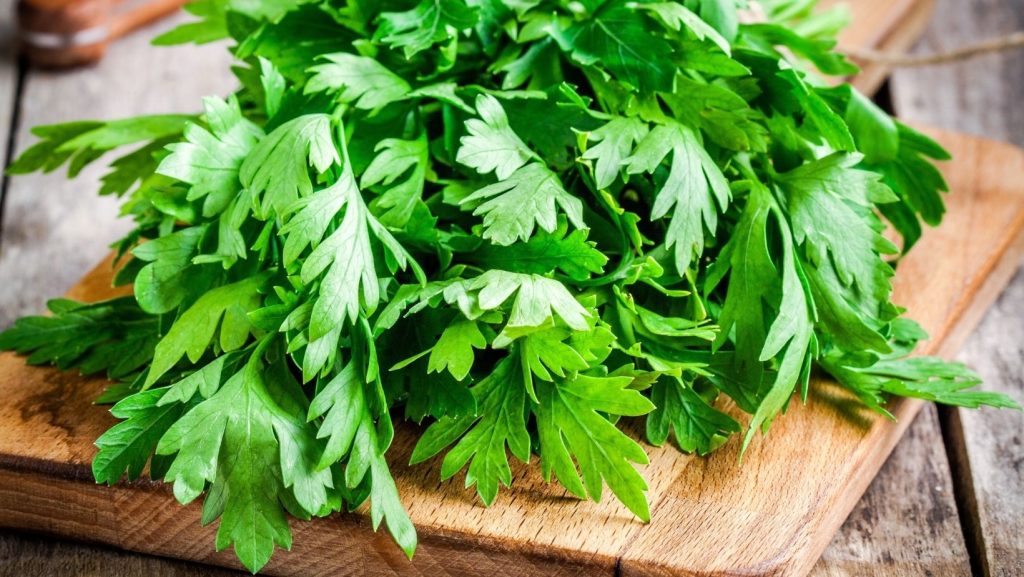 A bunch of parsley